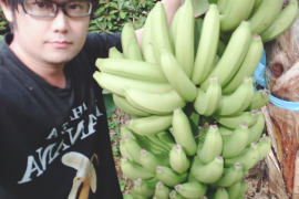【お試し】国産バナナ プチサイズ1.8kgと安納芋2Sサイズ2kg【セット】