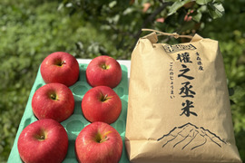 待望のセット商品！　權之丞米（白米）5kgと弘前ふじ（家庭用）2㎏【5〜10個】