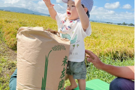 予約開始！！　令和7年新米　もちもち食感冷えても美味しい！庄内米つや姫玄米30キロ