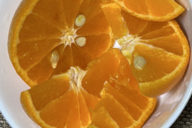 南津海　「なつみ」　約1.8kg 　ご家庭用