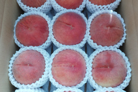 🍑 幻の極早生桃「ひめまるこ」― 桃シーズンの最初の一口を、あなたに。
約2kg　１２玉前後
