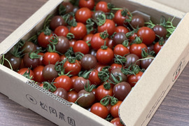 【たっぷりMIX】愛情たっぷりbaby tomato 800g　‐MIX‐
