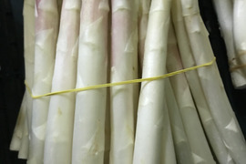 訳あり！北海道産ホワイトアスパラ