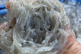 【福袋】年末大特価のお得な福袋(中サイズ)