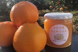 静岡県産　濃厚完熟みかん【はるみ】　（きずありB品）3ｋｇと【はるみジャム】のセット