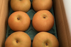 厳選！抜群の甘さとジューシーな【あきづき梨】小箱（５～６玉入り）