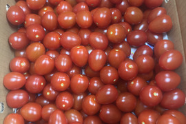 訳ありアイコ3kg箱(A品)全てヘタ無し♪傷あり。【朝どれ】美味しい＋満足‼︎おすすめアイコ