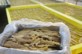 干し芋　べにはるか　2kg  端っこ　家庭用