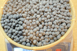 丹波篠山産！手作り味噌にぴったりな黒豆【加工用黒大豆】