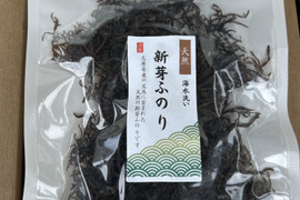 天然1等品！水で戻しそのまま食べれるコリコリと美味しい『新芽ふのり』75g