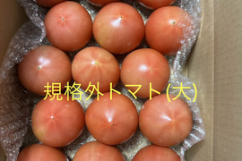 規格外大きめ★80サイズ箱詰め合わせ