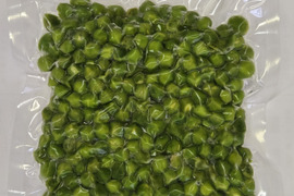 マメピー（実エンドウ）剥き身生冷凍 250ｇ×1ｐ