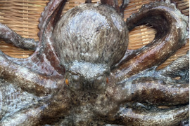 🌊 歴史と伝統が育む逸品！風間浦産「石だこ」（マダコ）　足4本×2パック