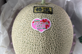 【今週限定】ラブコールメロンは1年で1週ほど！1粒のタネから1玉だけ大切に育てました！ちぎりたてでも甘さに驚くラブコールメロン1玉入り(2.3kg～3kg)