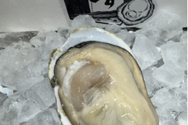 身入り抜群！有明海垂下養殖スミノエガキ　ありす　4kg（生食可）