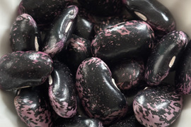 北海道産　紫花豆　500g（250g✖️2p）