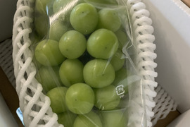大粒1房！岡山県産最高級ブドウ （シャインマスカット）数量限定