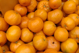 【訳あり】広島県産「ポンカン」‼️大きいサイズばかり　5kg(箱込み)