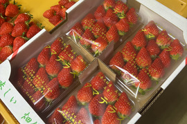 今ならほぼ即納！ 幻の高級いちご アマテラス Lサイズ 1箱：長崎県産の果物｜食べ 果物