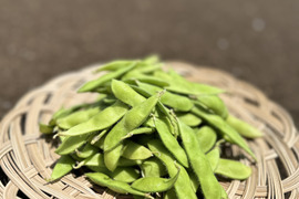 🎵やめられない、止まらない、枝豆🫛🎵
【不揃い品】大人のおつまみに‼️お子様のおやつに‼️
良質なタンパク質や、鉄分が豊富なため夏バテ対策にもおすすめ🌟