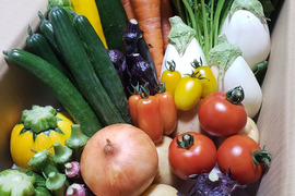 違いがわかる主婦の【夏野菜セット】