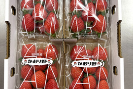 【即日発送】かおり野＋紅ほっぺの食べ比べ8パックセット