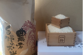 令和７年魚沼産コシヒカリ白米10kg