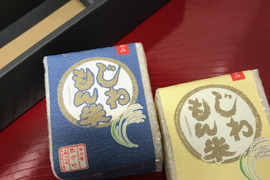 【令和３年度米】２合分ずつなので使いやすい！ライスキューブ３個セット