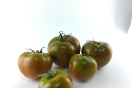 果肉たっぷり！中玉トマト「クマト」(800グラム)