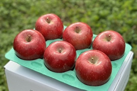 青森県産りんご　葉とらずりんご　コスモふじ　家庭用【2㎏　5～10個入り】