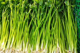 清流の恵み　宮城県蔵王町産セリ1㎏   蔵王セリ