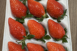 JGAP認証・千葉県産食べ比べ2品種のセット(2パック入り)