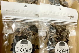 ★天日干し★乾燥きくらげ２０g×４袋【原料：有機きくらげ】