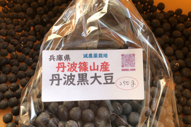 丹波篠山産　黒大豆　500g