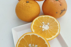 【残りわずか】農薬不使用甘夏・訳ありお得箱10kg♪