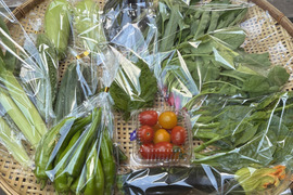 ギフトにも！小さな農家、旬のお野菜セット　10〜12品目＜農薬、化学肥料不使用＞