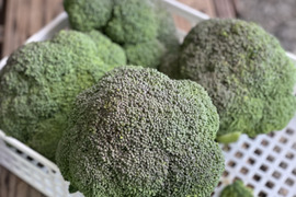 農薬不使用・栄養たっぷり『ブロッコリー🥦』重量分たっぷり詰めます！