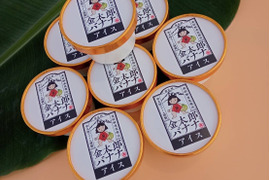 神奈川県産　金太郎バナナアイス　8個入り