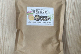 健康で若々しく！ 春ウコン100g(栽培期間中農薬不使用)