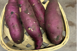 上品さあふれるシルクスイート