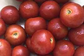 農薬不使用 夏野菜セット　採れたてを箱いっぱいにお入れしてお送りします