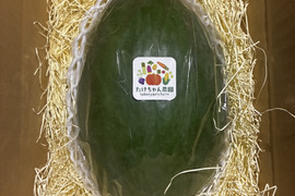 その他青パパイヤの通販｜青パパイヤ｜食べチョク｜産地直送(産直)お