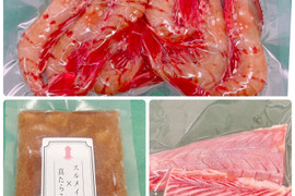 【セット】ボタンエビ×スルメイカ真鱈子×アブラツノザメ剥き身 各1P