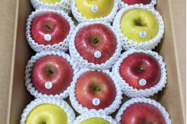 【3品種以上確定！】りんごの玉手箱 品種お任せ 味のお試しに 【家庭規格5㎏】
