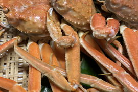 【訳あり】新潟県産本ズワイガニ(オス)たっぷり２kg 村上市笹川流れ