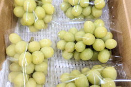 【今だけ訳アリお買い得】シャインマスカット１．８ｋｇ箱(５パック入り)