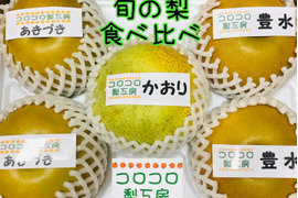 【旬の梨食べ比べ‼️3~5品種】何が届くかお楽しみ😋贈答用2.5kg以上、豊水・あきづき・かおり・あきあかり・二十世紀・南水・にっこり・新高・王秋・新興・愛宕の中から3品種以上詰め合わせます‼️