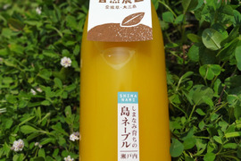 【2種類飲み比べ】しまなみ育ちの無添加柑橘ジュース（1ℓ×2本）
