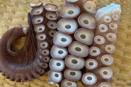 【インパクト大！】北海道白老産　活茹で水だこ（足）1㎏1本【3等分真空加工】