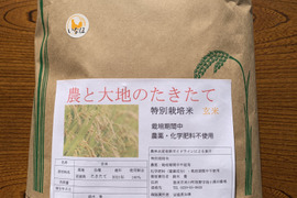 令和4年新米！希少品種 たきたて玄米7kg 農薬・化学肥料不使用
